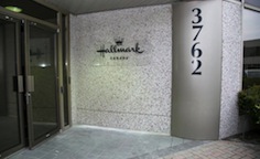 Head Office