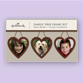 Heart Frame Kit