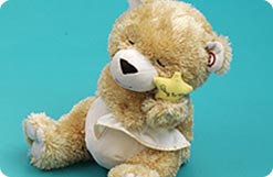 New Recordable Plush